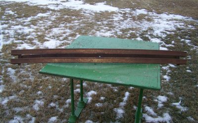 1925 Buick Front Bumper